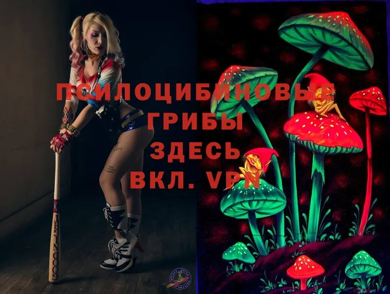 Галлюциногенные грибы Cubensis  OMG как войти  Серов  закладки 